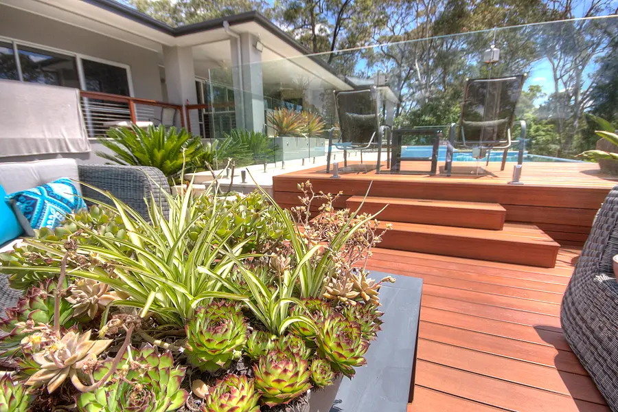 Planting beside the deck steps, with the pool and house beyond