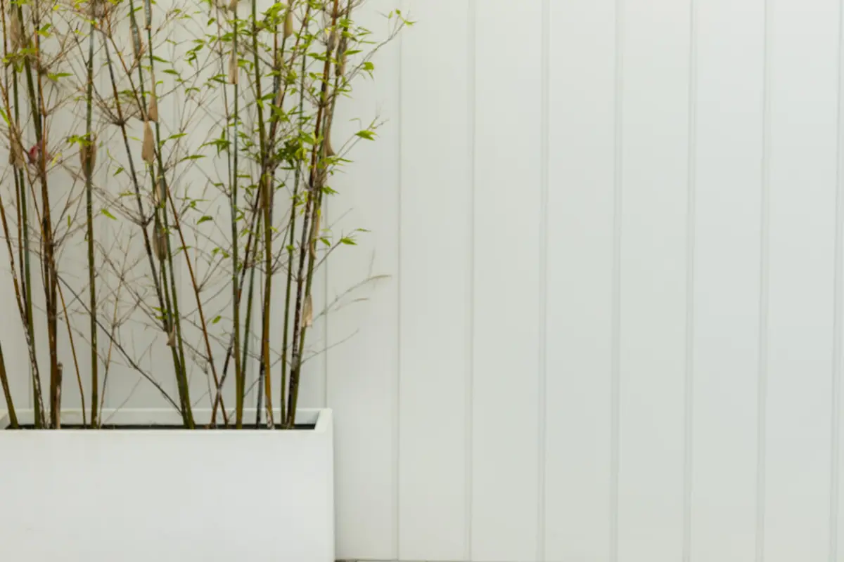 Close view of the vertical joints between powder-coated clad wall panels, bamboo in a trough planter alongside